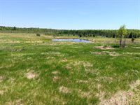 54003 Dollar Lake Road, Sandstone, MN 55072