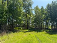 54003 Dollar Lake Road, Sandstone, MN 55072