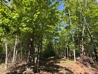 54003 Dollar Lake Road, Sandstone, MN 55072