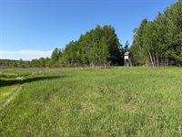 54003 Dollar Lake Road, Sandstone, MN 55072