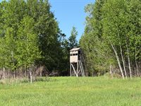 54003 Dollar Lake Road, Sandstone, MN 55072