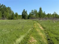 54003 Dollar Lake Road, Sandstone, MN 55072