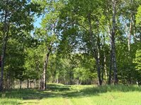 54003 Dollar Lake Road, Sandstone, MN 55072