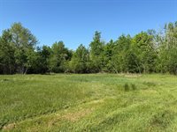 54003 Dollar Lake Road, Sandstone, MN 55072