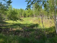 54003 Dollar Lake Road, Sandstone, MN 55072