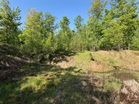 54003 Dollar Lake Road, Sandstone, MN 55072