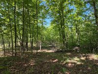 54003 Dollar Lake Road, Sandstone, MN 55072
