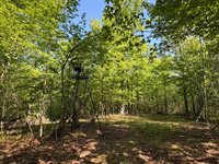 54003 Dollar Lake Road, Sandstone, MN 55072