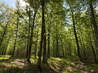 54003 Dollar Lake Road, Sandstone, MN 55072