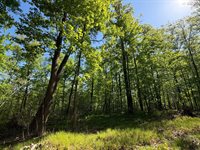 54003 Dollar Lake Road, Sandstone, MN 55072