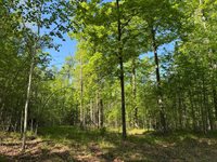 54003 Dollar Lake Road, Sandstone, MN 55072