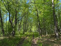 54003 Dollar Lake Road, Sandstone, MN 55072