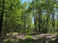 54003 Dollar Lake Road, Sandstone, MN 55072