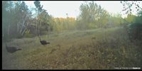 54003 Dollar Lake Road, Sandstone, MN 55072
