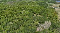 54003 Dollar Lake Road, Sandstone, MN 55072