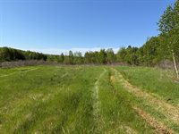 54003 Dollar Lake Road, Sandstone, MN 55072