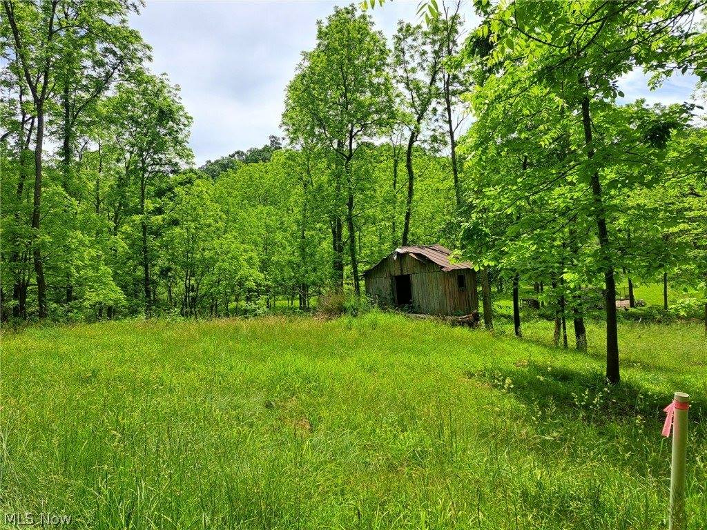 59208 Trail Run Road, Byesville, OH 43723