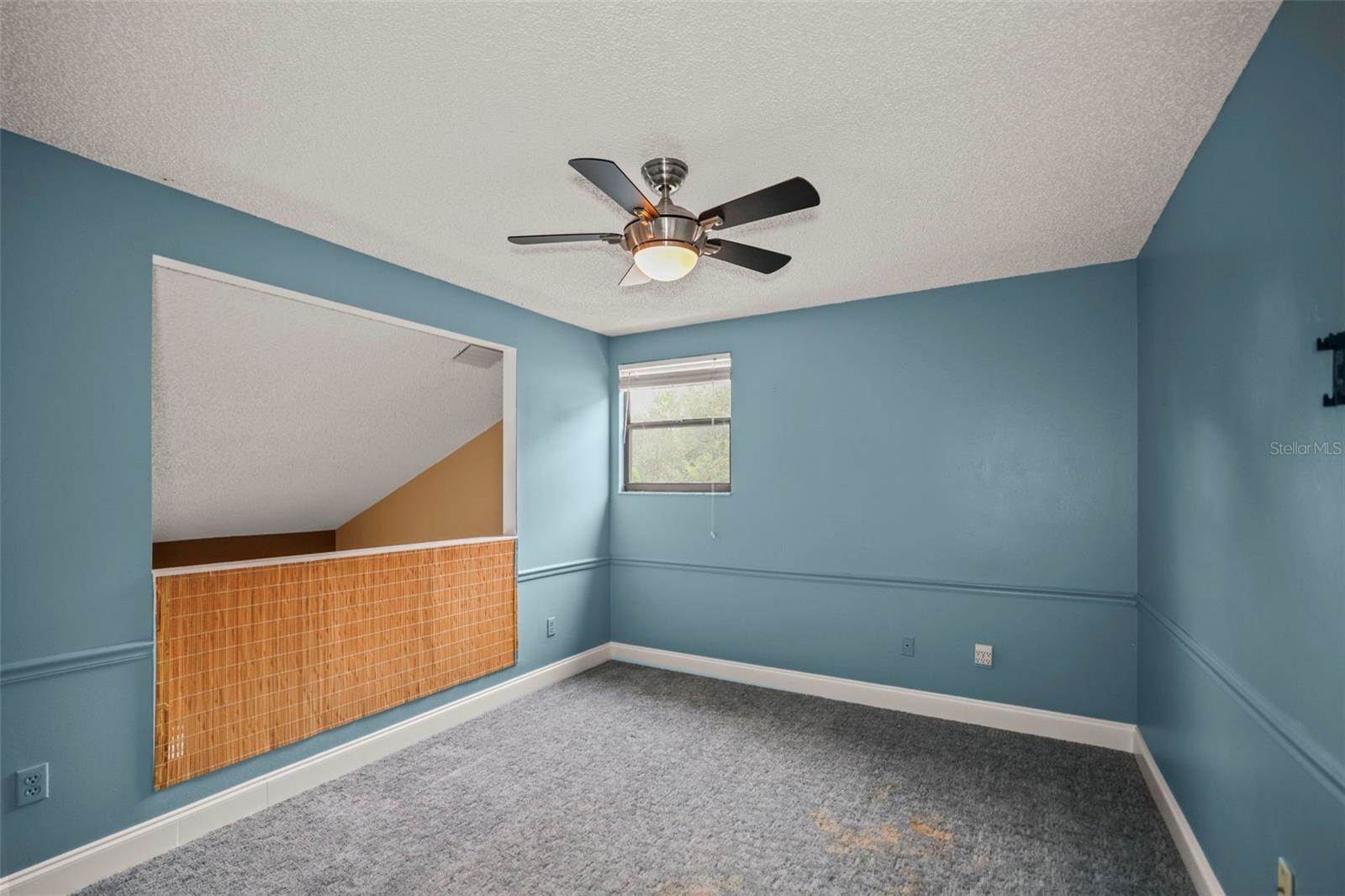 1668 Hamilton Court, Dunedin, FL 34698