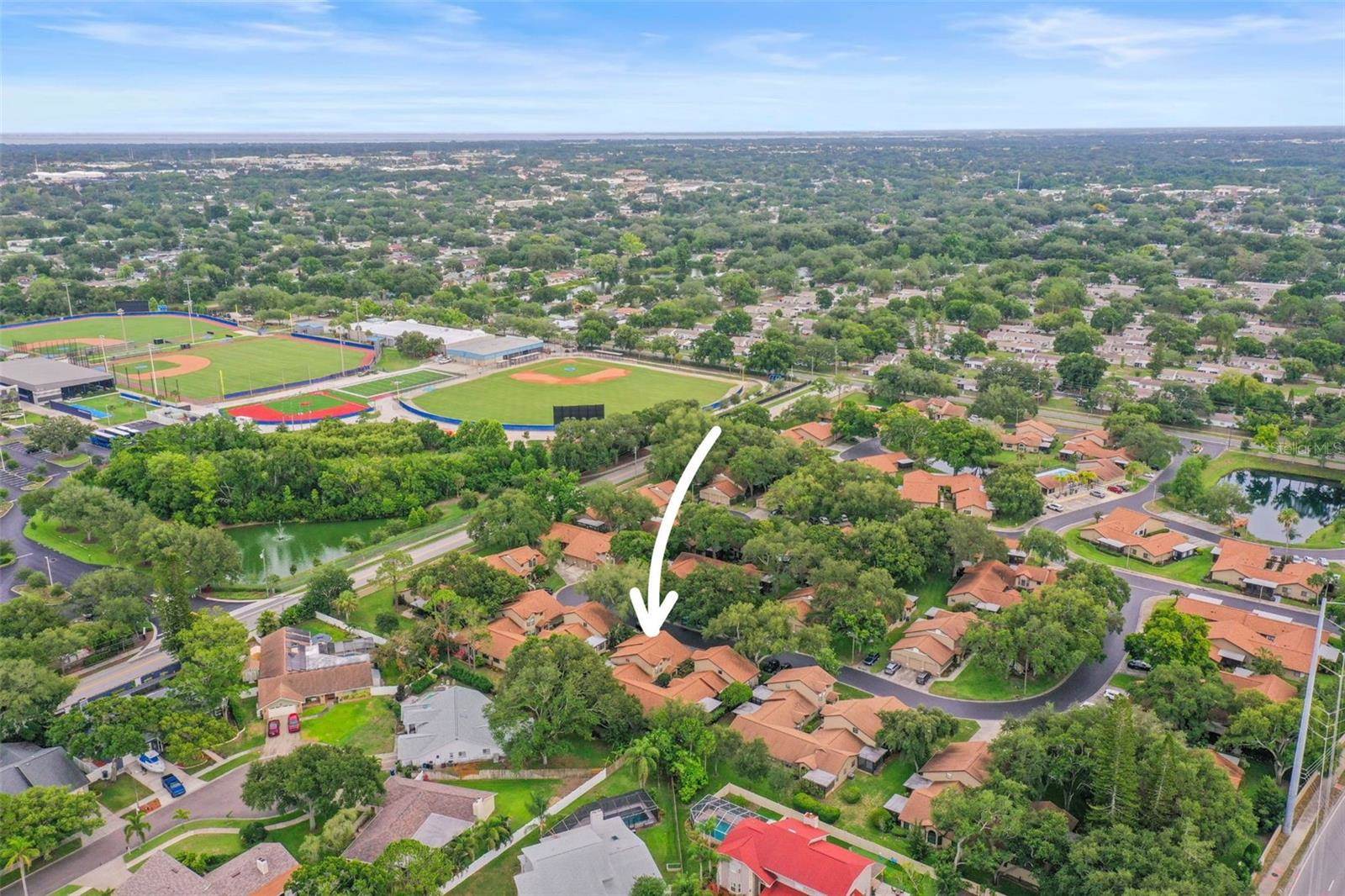 1668 Hamilton Court, Dunedin, FL 34698