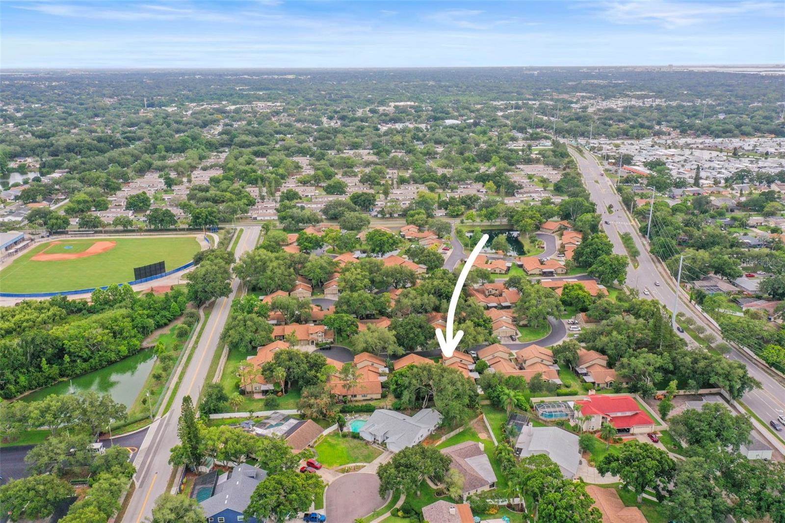 1668 Hamilton Court, Dunedin, FL 34698