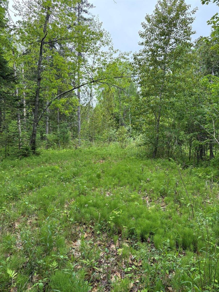 TBD Fitz Road, Kenduskeag, ME 04450