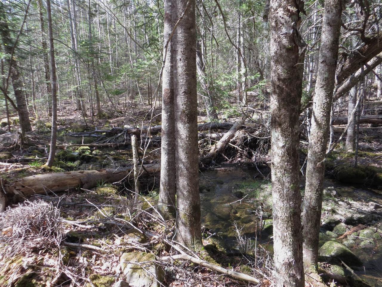 TBD Fitz Road, Kenduskeag, ME 04450