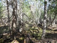 TBD Fitz Road, Kenduskeag, ME 04450