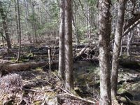 TBD Fitz Road, Kenduskeag, ME 04450