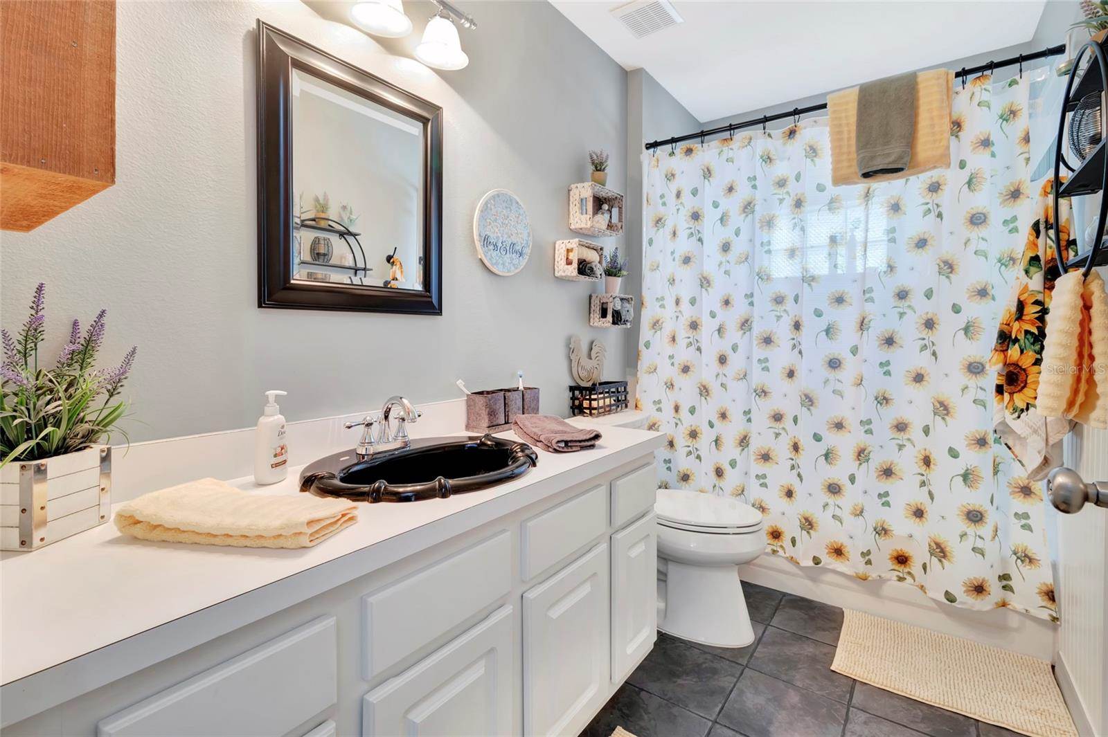 226 Pleasant Hill Drive, Clermont, FL 34711