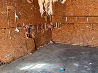 120 Pleasant Ridge Church Road, Adolphus, KY 42120