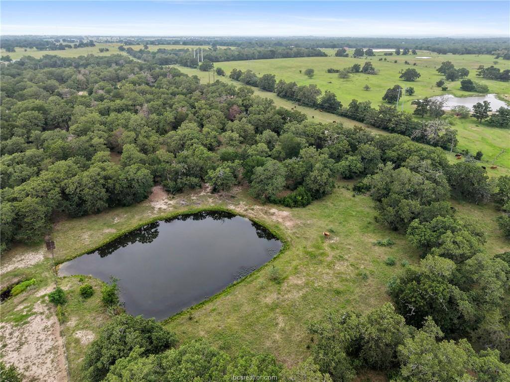 TBD County Road 423, Somerville, TX 77879