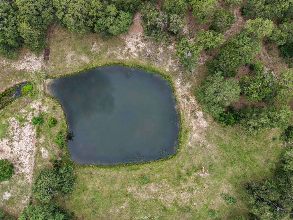 TBD County Road 423, Somerville, TX 77879