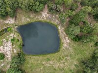TBD County Road 423, Somerville, TX 77879