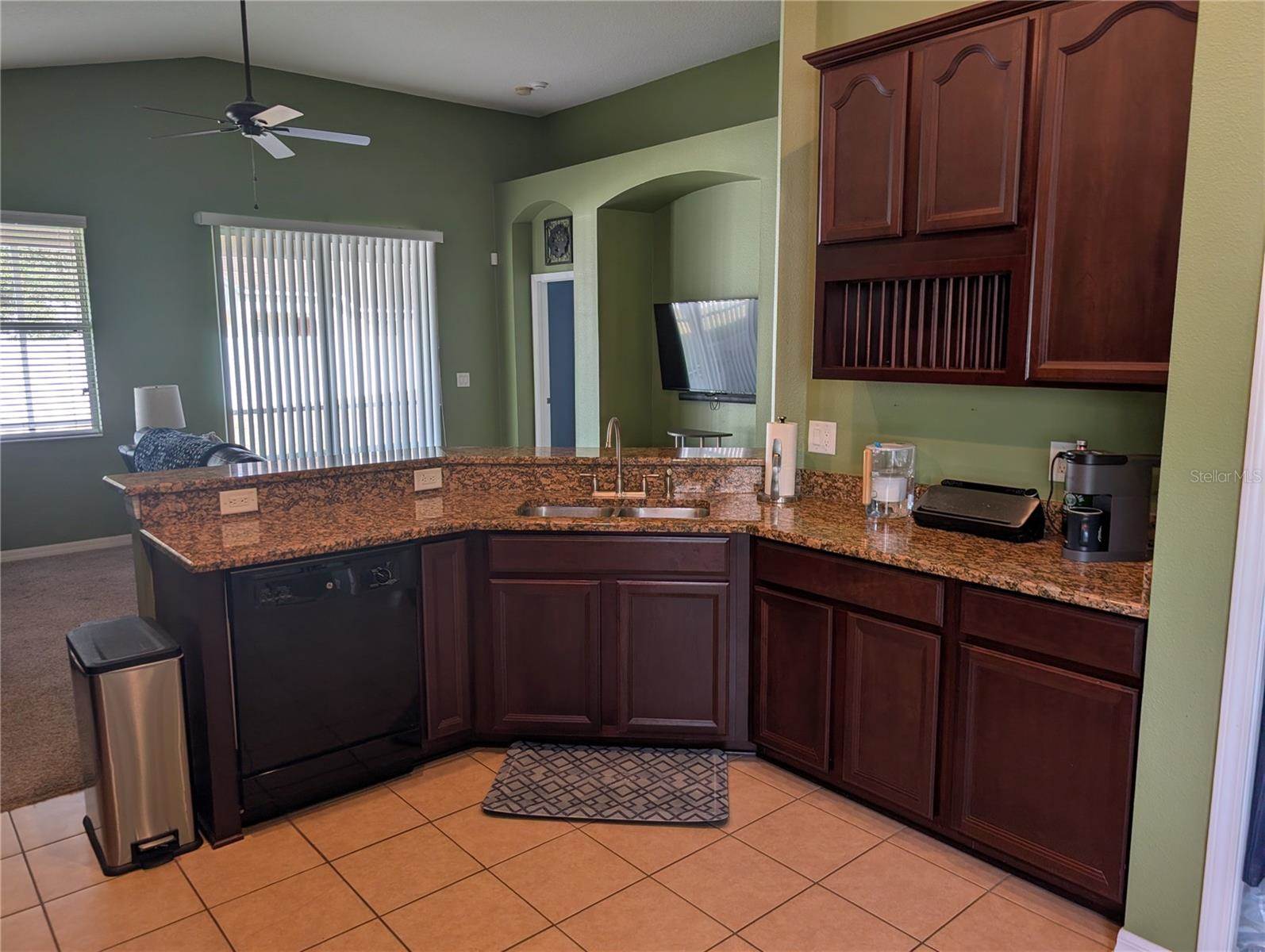7343 Forest Mere Drive, Riverview, FL 33578