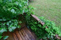 24 Sarabec Hill Road, Black Mountain, NC 28711