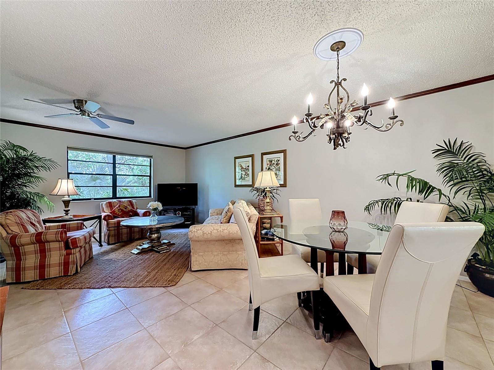 2983 Elder Court, Palm Harbor, FL 34684