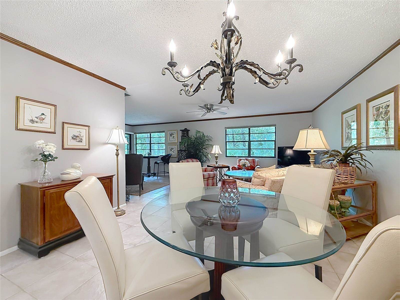 2983 Elder Court, Palm Harbor, FL 34684