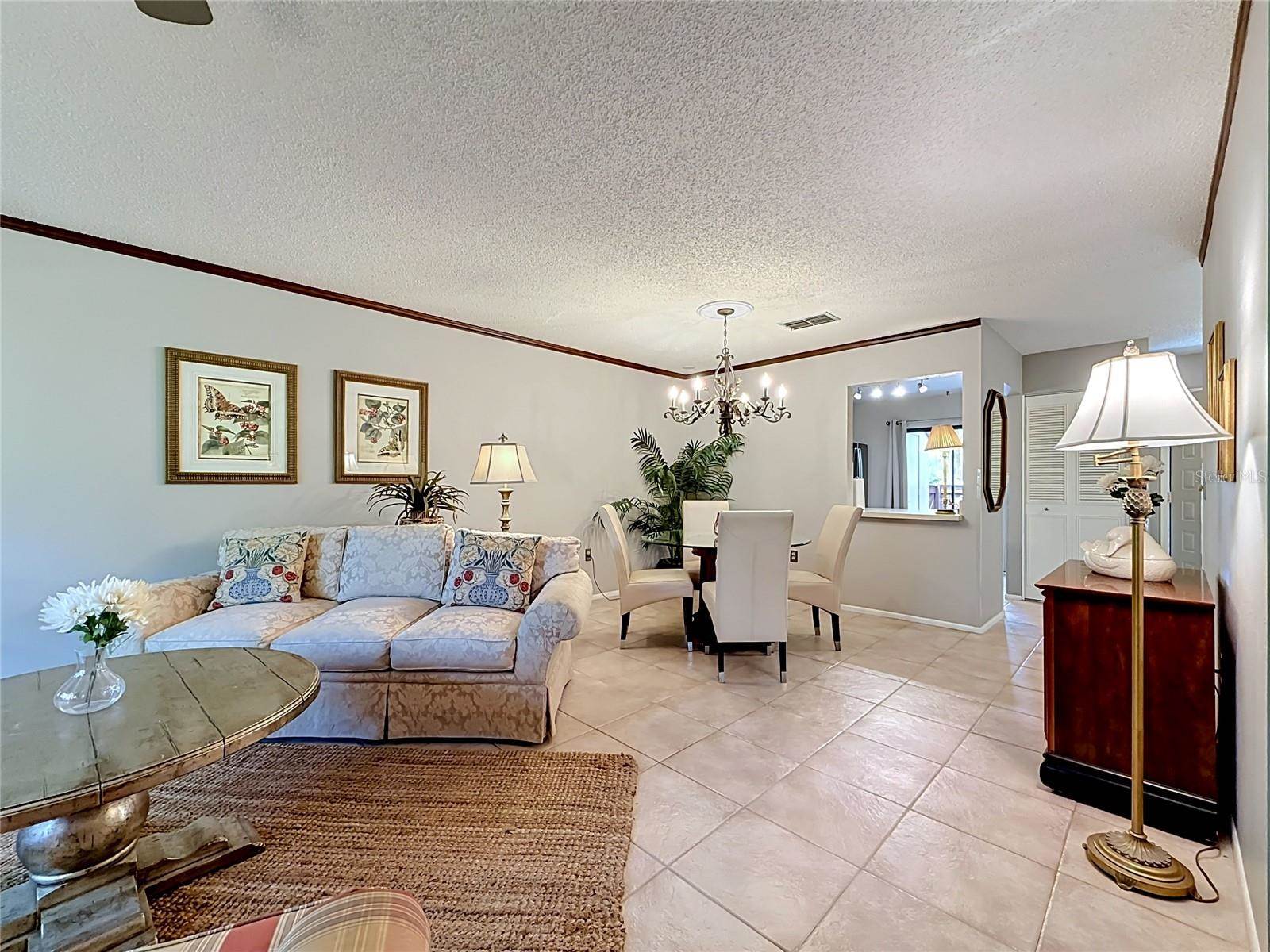 2983 Elder Court, Palm Harbor, FL 34684