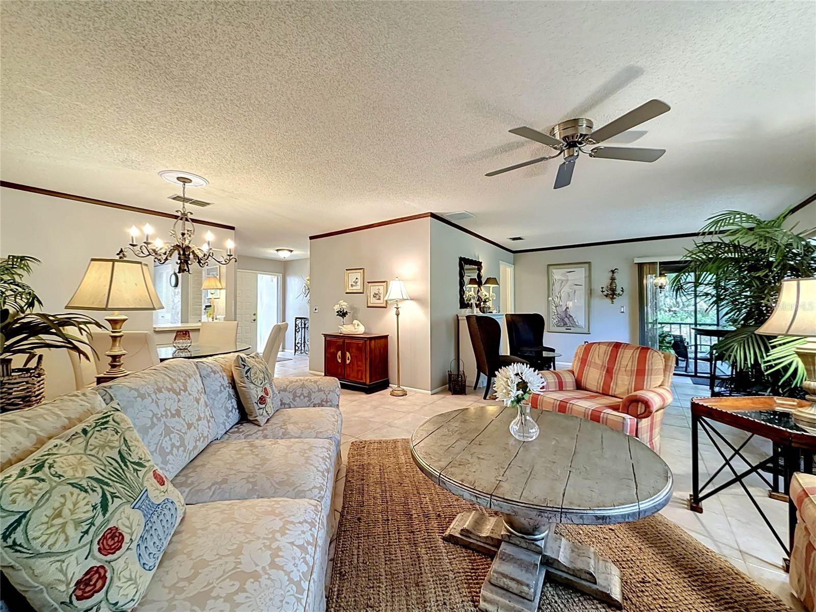2983 Elder Court, Palm Harbor, FL 34684