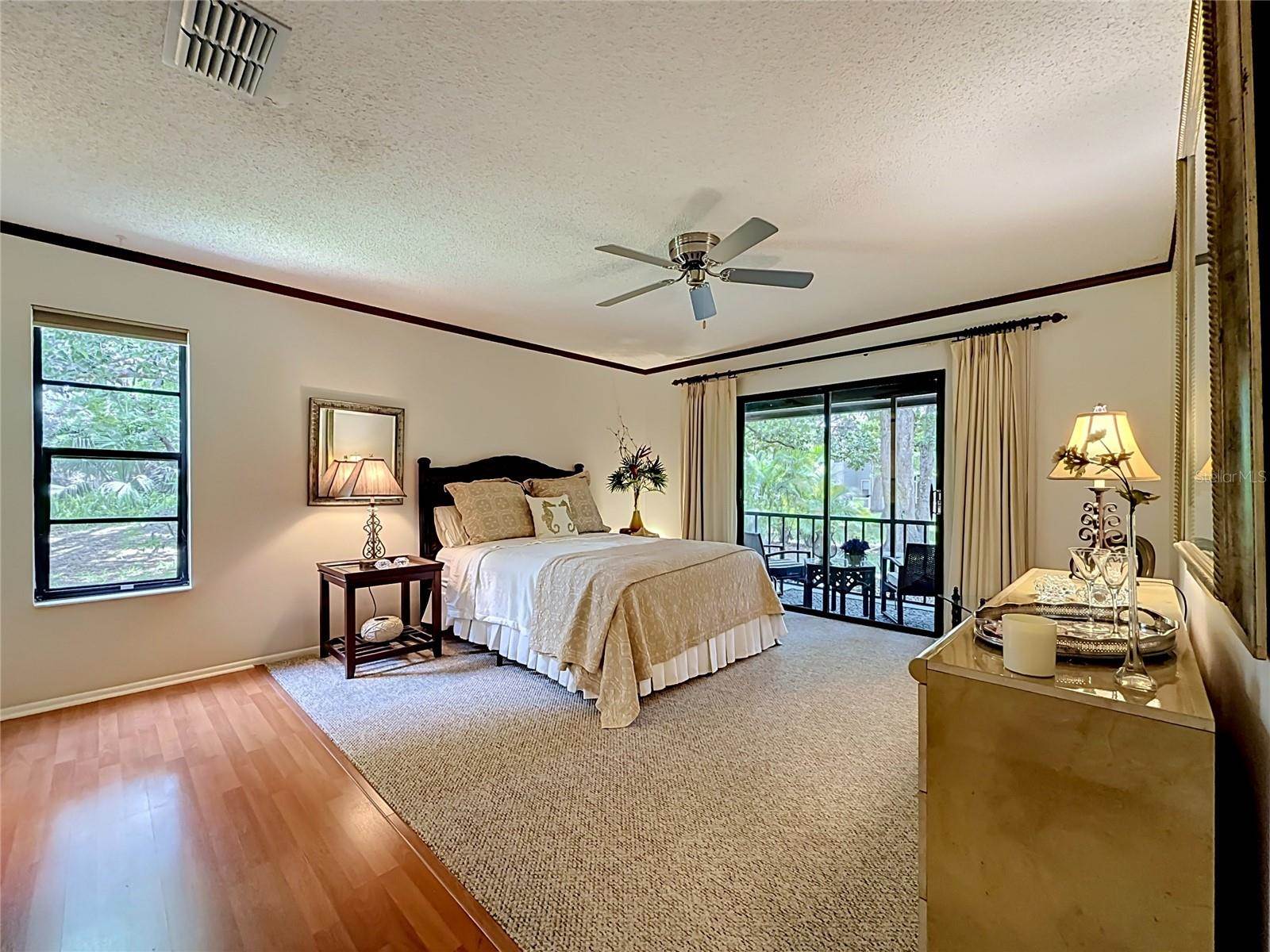 2983 Elder Court, Palm Harbor, FL 34684