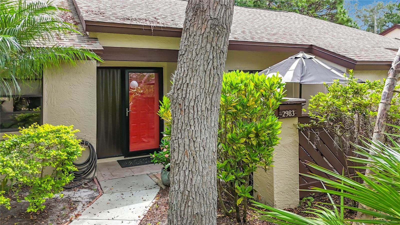 2983 Elder Court, Palm Harbor, FL 34684