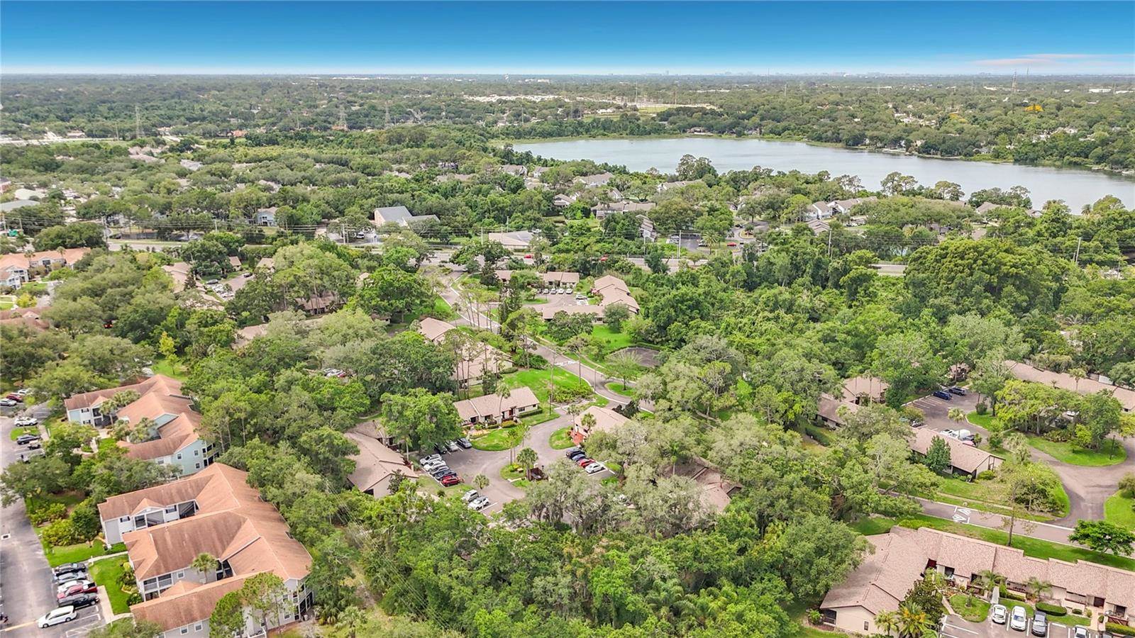 2983 Elder Court, Palm Harbor, FL 34684