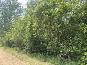 VL 55th St, Grand Junction, MI 49056