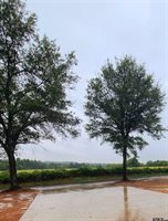 11230 CR 152 W Unit 2, Bullard, TX 75757