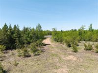 784 Legion Drive, Ishpeming, MI 49849