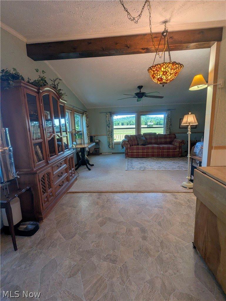 18395 Leatherwood Road, Salesville, OH 43778