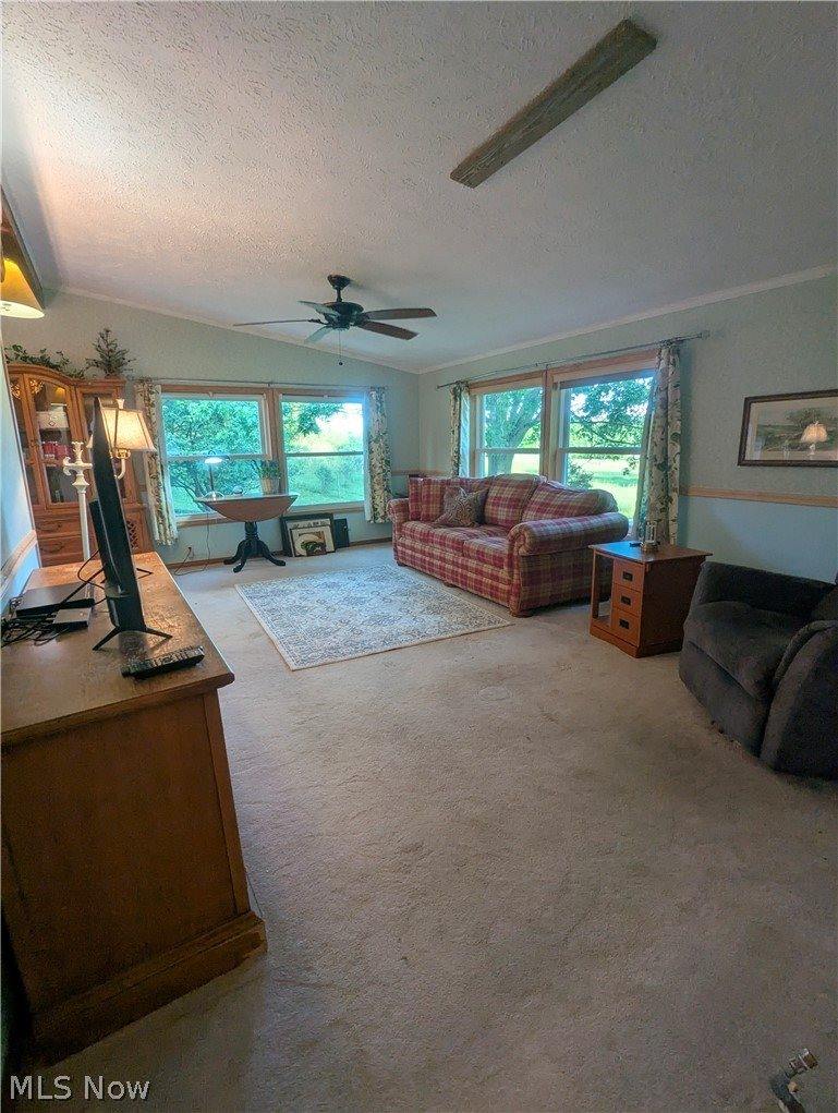 18395 Leatherwood Road, Salesville, OH 43778