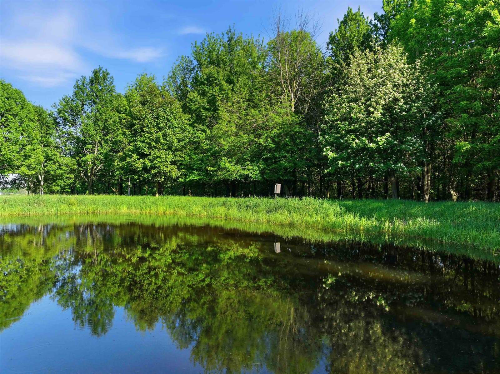 10750 Bob O Link Drive, Marshfield, WI 54449