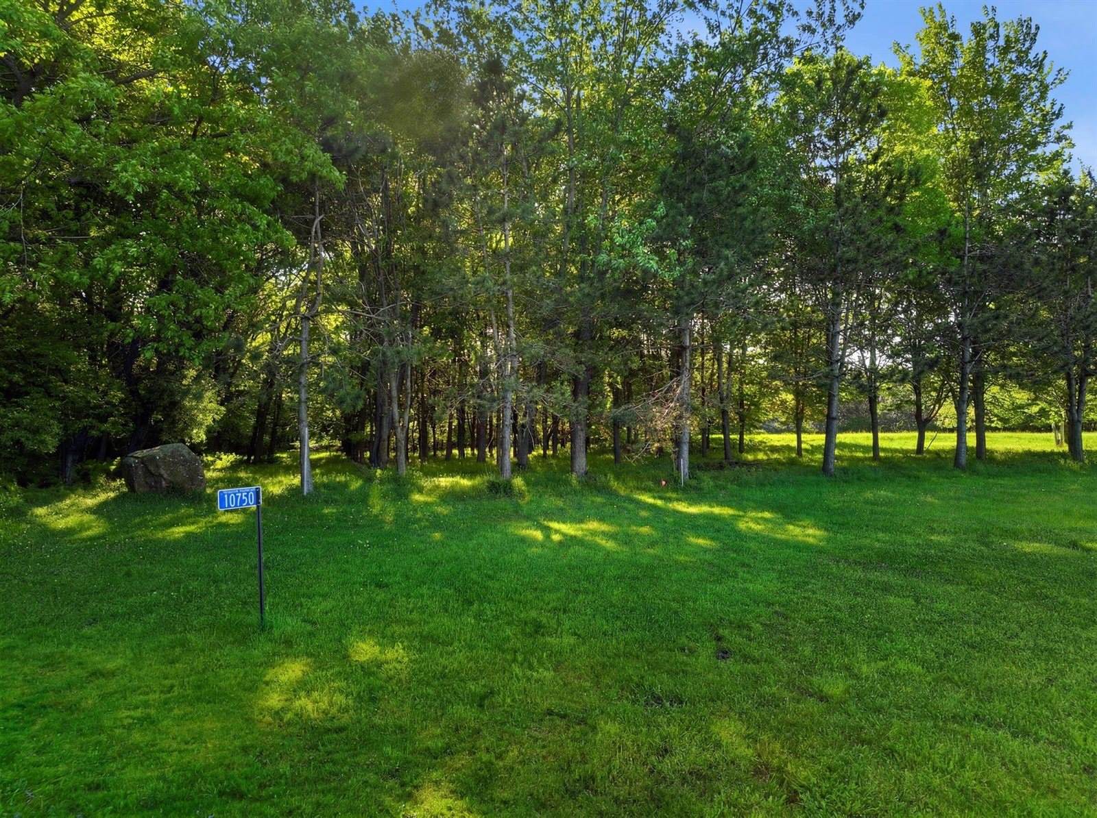 10750 Bob O Link Drive, Marshfield, WI 54449