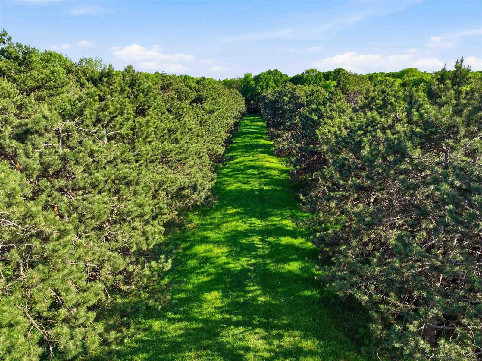 10750 Bob O Link Drive, Marshfield, WI 54449